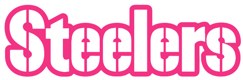 Pittsburgh Steelers HOT PINK Team Name Logo Premium DieCut Vinyl Decal PICK SIZE