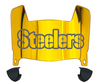 Pittsburgh Steelers Mini Football Helmet Visor Shield w/ Clips - PICK VISOR & LOGO COLOR
