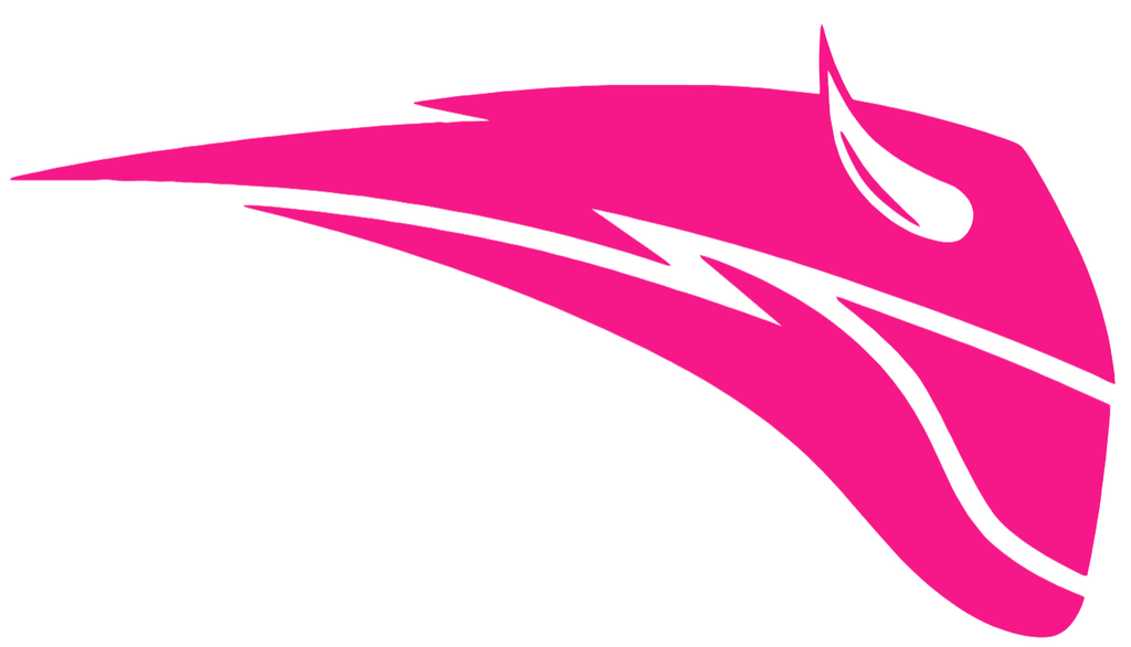 Portland State Vikings Hot Pink Retro Throwback Logo Premium DieCut Vinyl Decal PICK SIZE