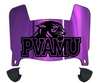 Prairie View A&M Panthers Mini Football Helmet Visor Shield w/ Clips - PICK VISOR & LOGO COLOR