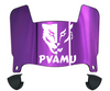 Prairie View A&M Panthers Mini Football Helmet Visor Shield w/ Clips - PICK VISOR & LOGO COLOR