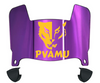 Prairie View A&M Panthers Mini Football Helmet Visor Shield w/ Clips - PICK VISOR & LOGO COLOR
