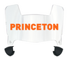 Princeton Tigers Mini Football Helmet Visor Shield w/ Clips - PICK VISOR & LOGO COLOR