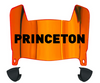 Princeton Tigers Mini Football Helmet Visor Shield w/ Clips - PICK VISOR & LOGO COLOR