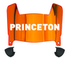 Princeton Tigers Mini Football Helmet Visor Shield w/ Clips - PICK VISOR & LOGO COLOR