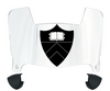 Princeton Tigers Mini Football Helmet Visor Shield w/ Clips - PICK VISOR & LOGO COLOR