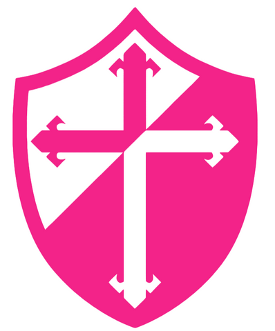Providence Friars Hot Pink Alternate Logo Premium DieCut Vinyl Decal PICK SIZE