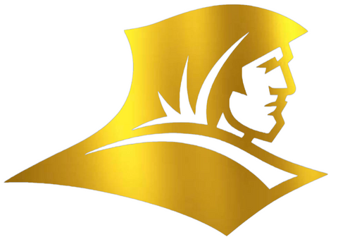 Providence Friars GOLD CHROME MIRROR Team Logo Premium DieCut Vinyl Decal PICK SIZE