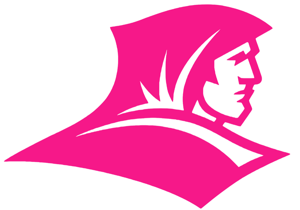 Providence Friars Hot Pink Team Logo Premium DieCut Vinyl Decal PICK SIZE