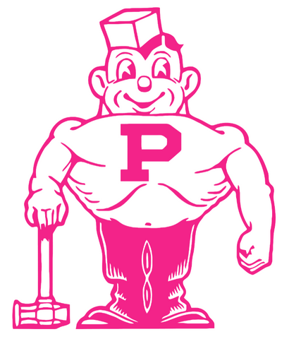 Purdue Boilermakers Hot Pink Retro Throwback Logo Premium DieCut Vinyl Decal PICK SIZE