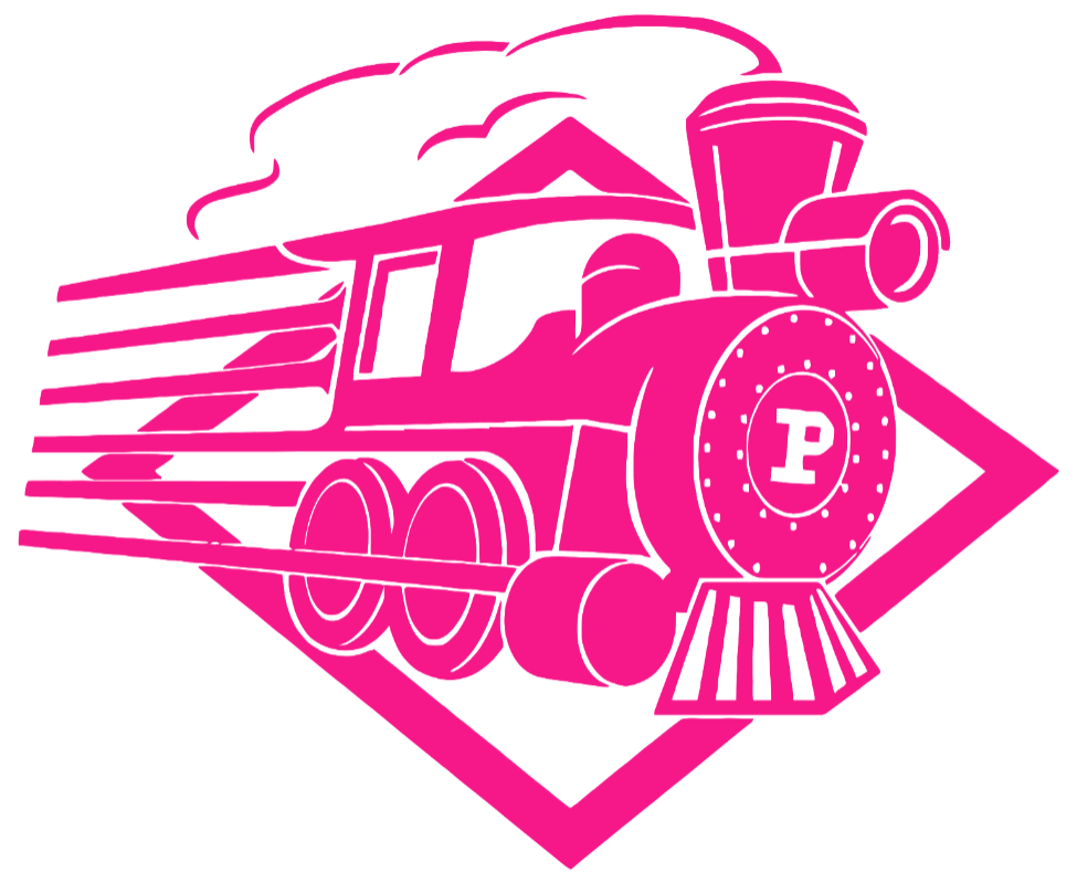 Purdue Boilermakers Hot Pink Retro Throwback Logo Premium DieCut Vinyl Decal PICK SIZE