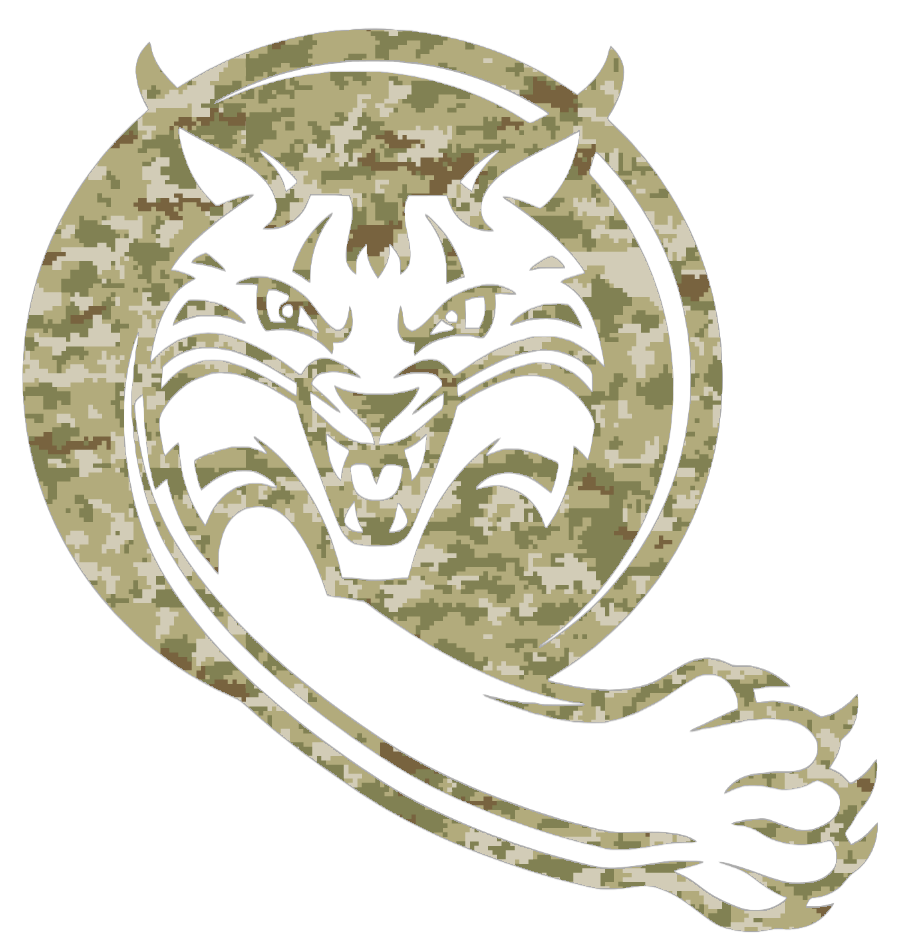 Quinnipiac Bobcats Alternate Logo Salute to Service Camouflage Camo Vinyl Decal PICK SIZE
