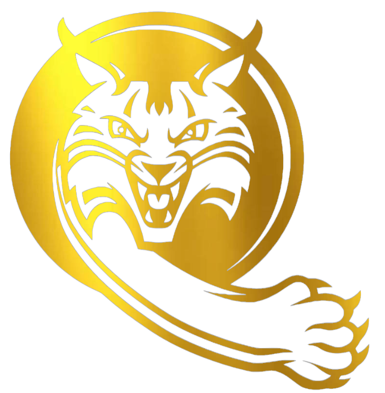 Quinnipiac Bobcats GOLD CHROME MIRROR Alternate Logo Premium DieCut Vinyl Decal PICK SIZE