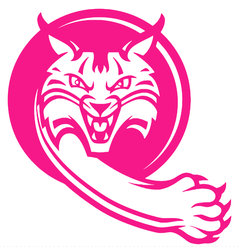Quinnipiac Bobcats Hot Pink Alternate Logo Premium DieCut Vinyl Decal PICK SIZE