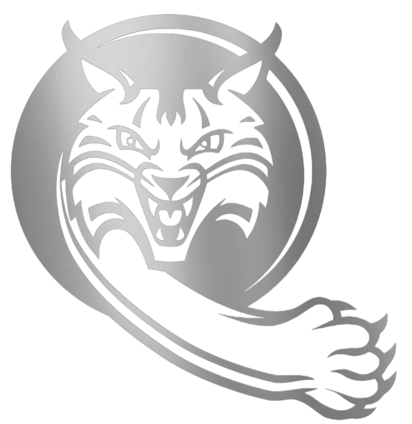 Quinnipiac Bobcats SILVER CHROME MIRROR Alternate Logo Premium DieCut Vinyl Decal PICK SIZE