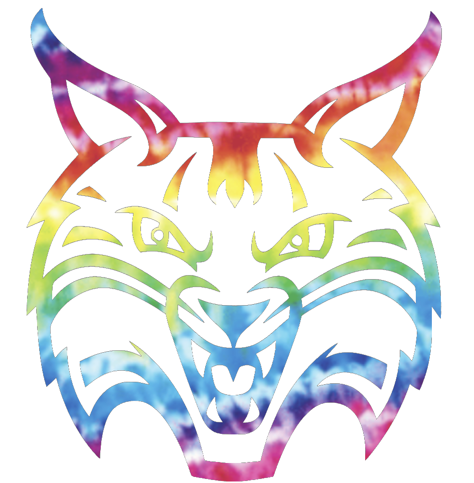  Quinnipiac Bobcats Team Logo Crucial Catch Cancer Tie Dye Vinyl Decal PICK SIZE
