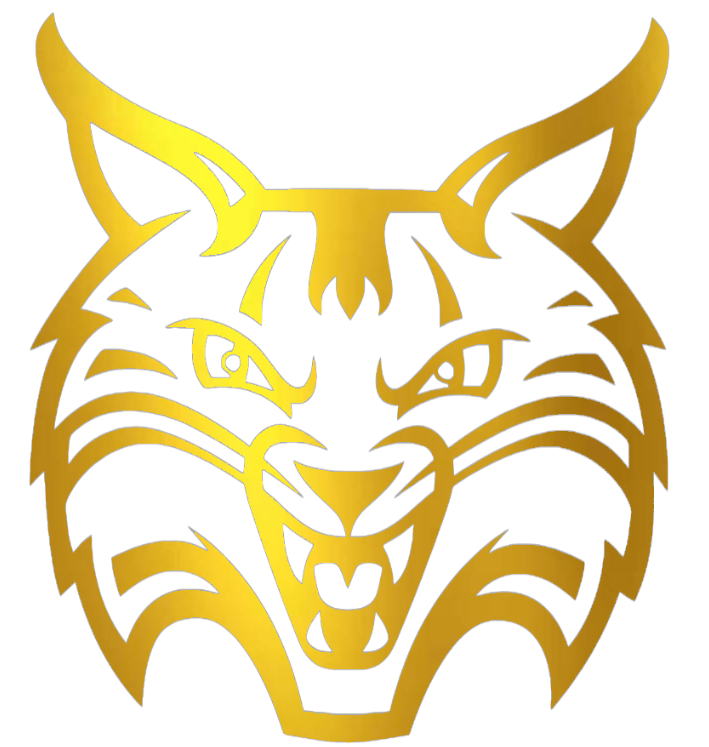 Quinnipiac Bobcats GOLD CHROME MIRROR Team Logo Premium DieCut Vinyl Decal PICK SIZE