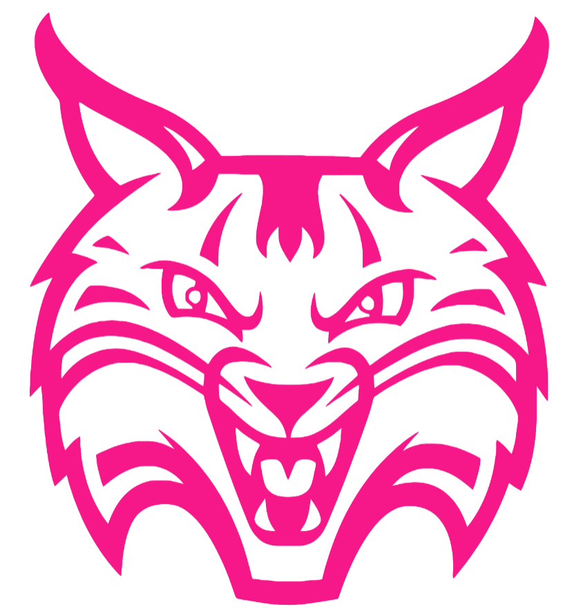 Quinnipiac Bobcats Hot Pink Team Logo Premium DieCut Vinyl Decal PICK SIZE