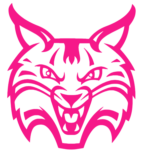 Quinnipiac Bobcats Hot Pink Team Logo Premium DieCut Vinyl Decal PICK SIZE