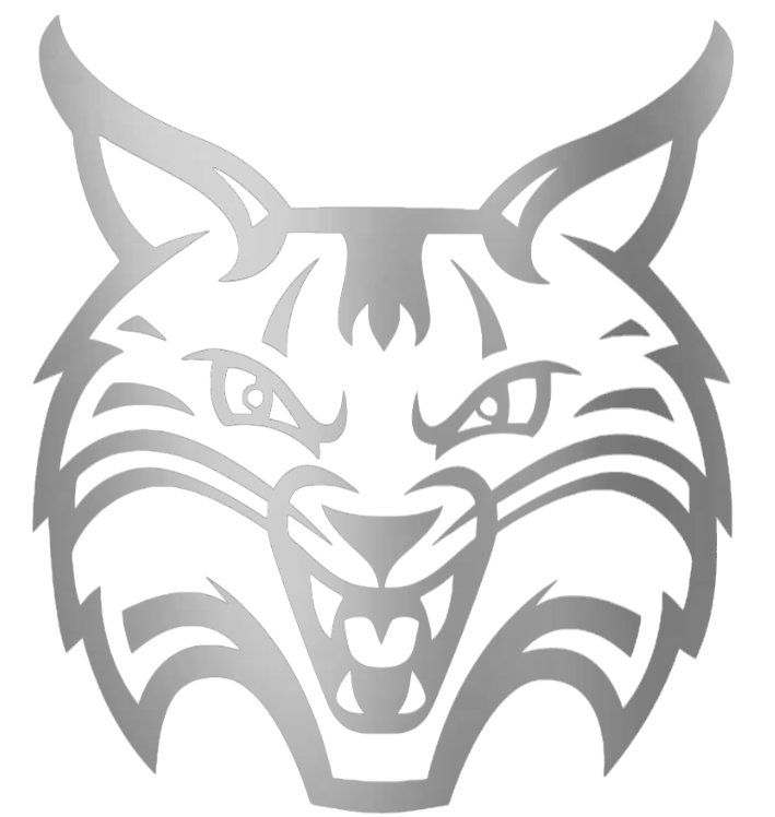 Quinnipiac Bobcats SILVER CHROME MIRROR Team Logo Premium DieCut Vinyl Decal PICK SIZE