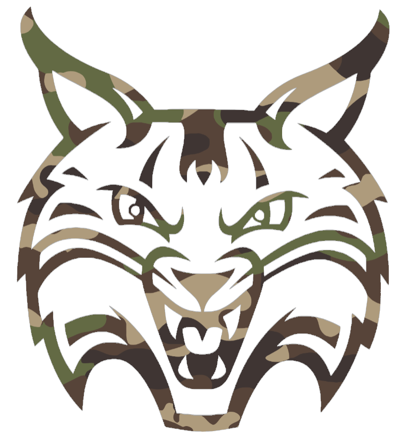 Quinnipiac Bobcats Woodland Camo Camouflage Team Logo Premium DieCut Vinyl Decal PICK SIZE