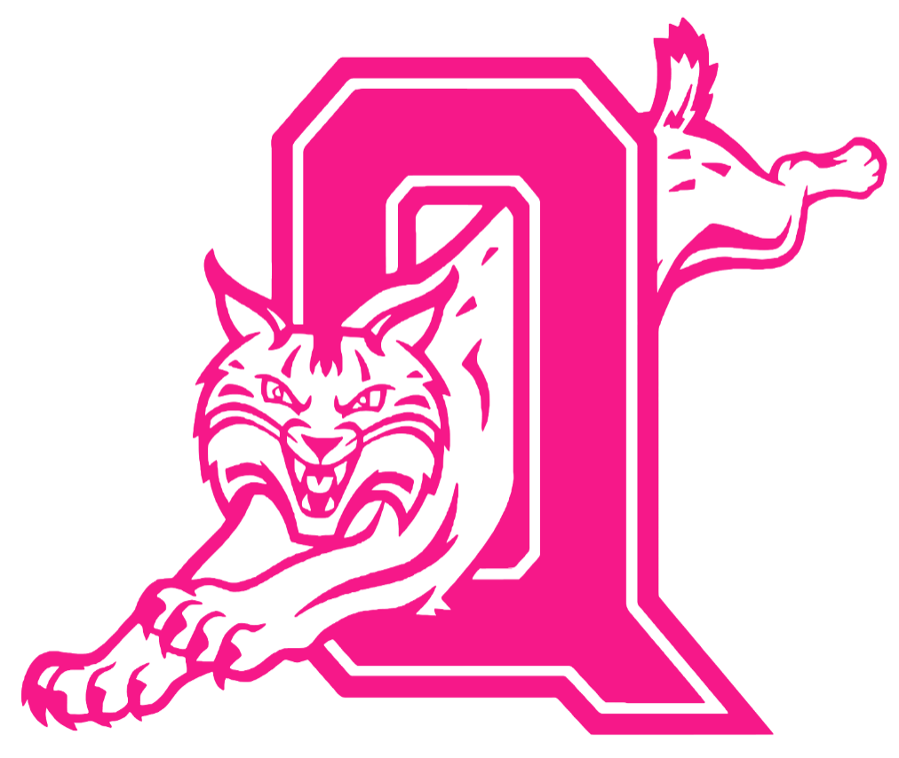 Quinnipiac Bobcats Hot Pink Retro Throwback Logo Premium DieCut Vinyl Decal PICK SIZE