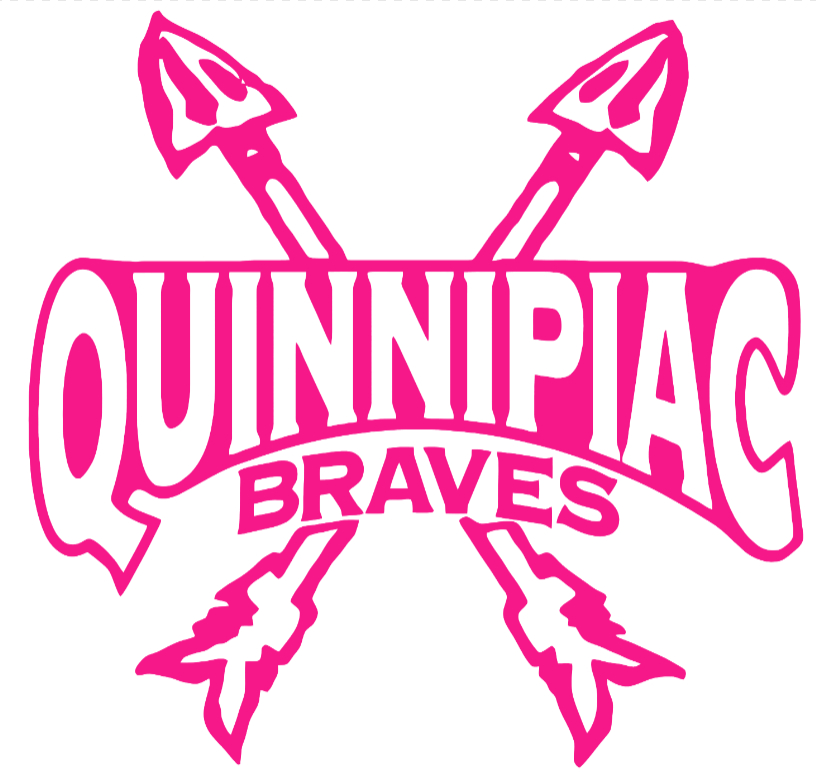 Quinnipiac Bobcats Hot Pink Retro Throwback Logo Premium DieCut Vinyl Decal PICK SIZE