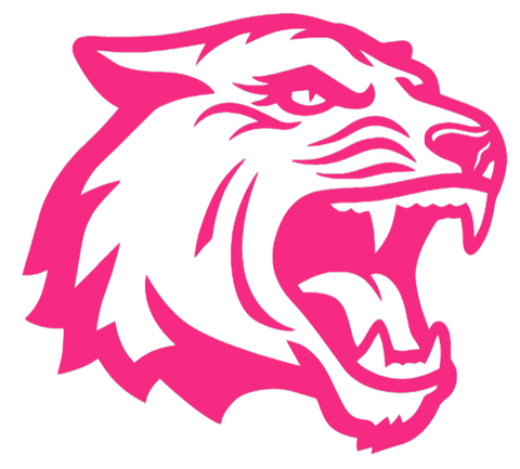 RIT Tigers HOT PINK Alternate Logo Premium DieCut Vinyl Decal PICK SIZE