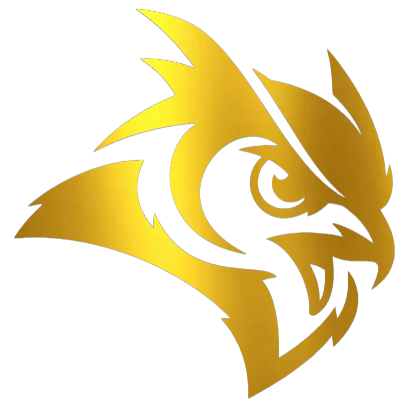 Rice Owls GOLD CHROME MIRROR Mascot Logo Premium DieCut Vinyl Decal PICK SIZE