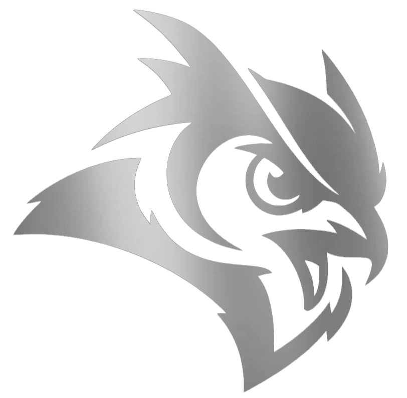 Rice Owls SILVER CHROME MIRROR Mascot Logo Premium DieCut Vinyl Decal PICK SIZE