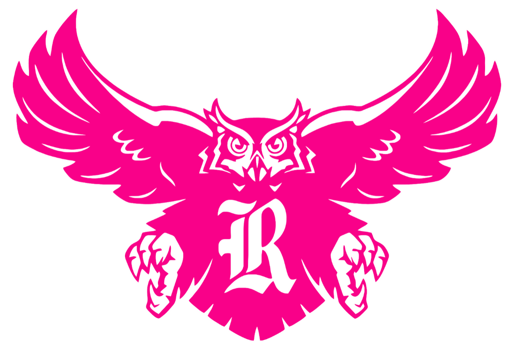Rice Owls Hot Pink Retro Throwback Logo Premium DieCut Vinyl Decal PICK SIZE