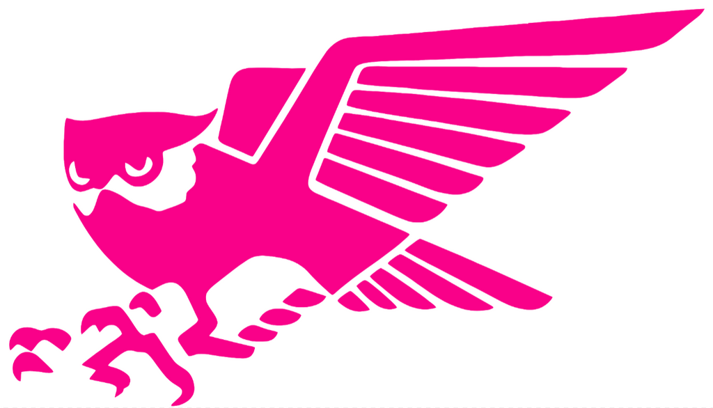 Rice Owls Hot Pink Retro Throwback Logo Premium DieCut Vinyl Decal PICK SIZE