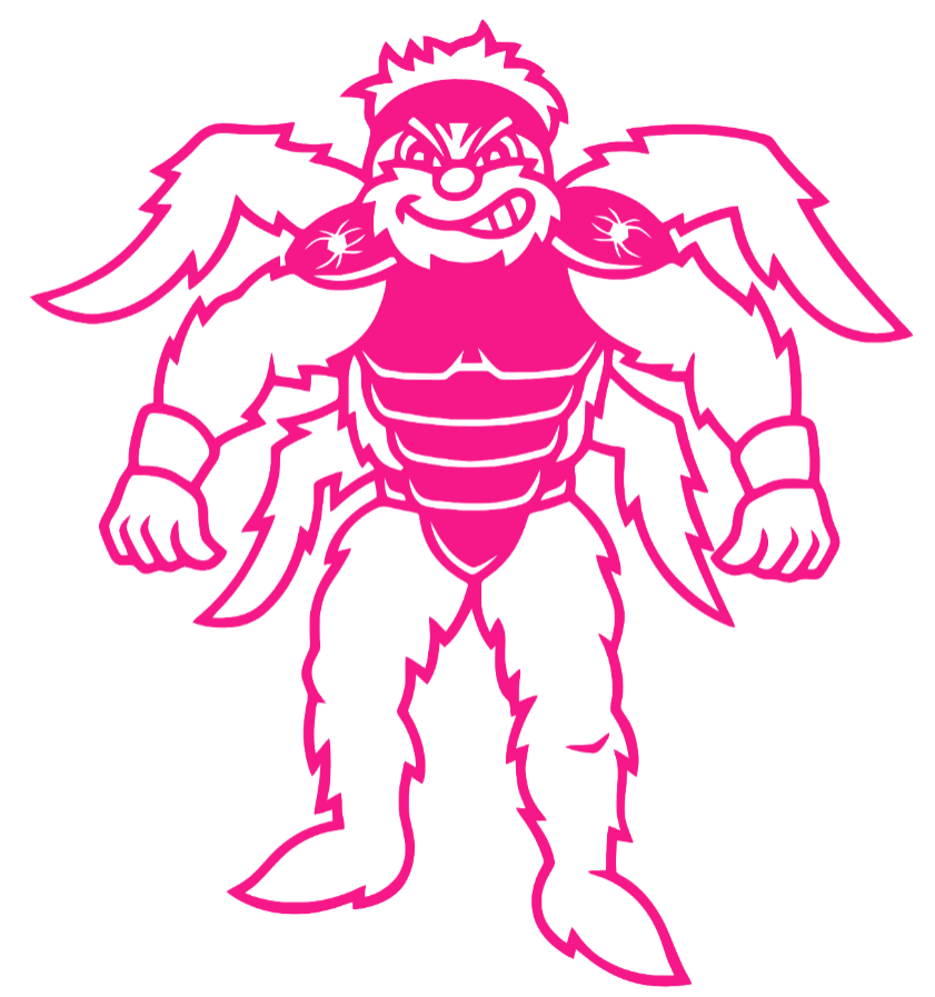 Richmond Spiders Hot Pink Mascot Logo Premium DieCut Vinyl Decal PICK SIZE