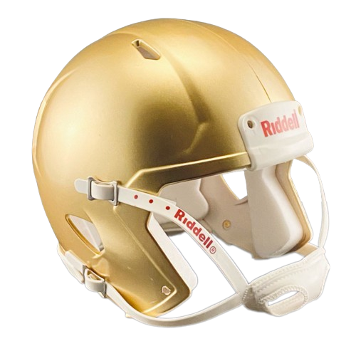 Metallic Gold Custom Riddell Speed Mini Football Helmet Blank Shell