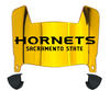 Sacramento State Hornets Mini Football Helmet Visor Shield w/ Clips - PICK VISOR & LOGO COLOR