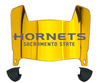 Sacramento State Hornets Mini Football Helmet Visor Shield w/ Clips - PICK VISOR & LOGO COLOR