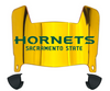 Sacramento State Hornets Mini Football Helmet Visor Shield w/ Clips - PICK VISOR & LOGO COLOR