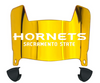 Sacramento State Hornets Mini Football Helmet Visor Shield w/ Clips - PICK VISOR & LOGO COLOR