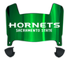 Sacramento State Hornets Mini Football Helmet Visor Shield w/ Clips - PICK VISOR & LOGO COLOR