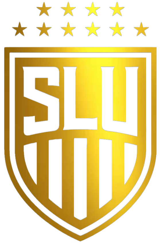 Saint Louis Billikens GOLD CHROME MIRROR Alternate Logo Premium DieCut Vinyl Decal PICK SIZE