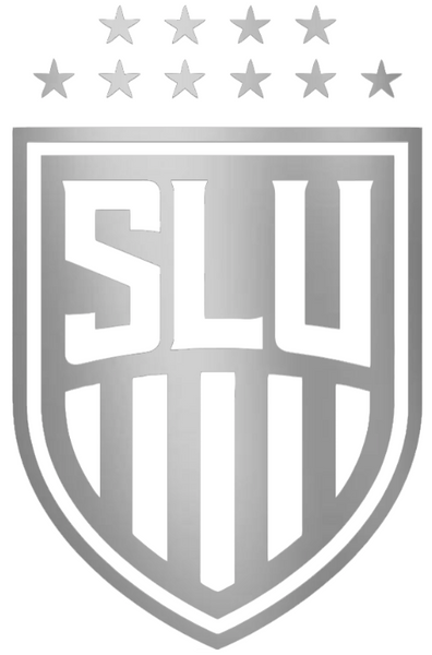 Saint Louis Billikens SILVER CHROME MIRROR Alternate Logo Premium DieCut Vinyl Decal PICK SIZE