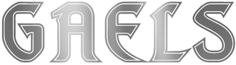 Saint Marys Gaels SILVER CHROME MIRROR Team Name Logo Premium DieCut Vinyl Decal PICK SIZE
