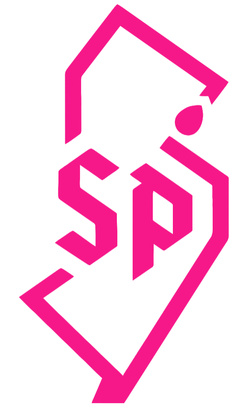 Saint Peters Peacocks Hot Pink NJ State Logo Premium DieCut Vinyl Decal PICK SIZE