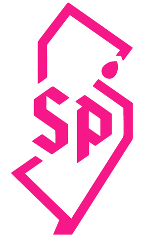 Saint Peters Peacocks Hot Pink NJ State Logo Premium DieCut Vinyl Decal PICK SIZE