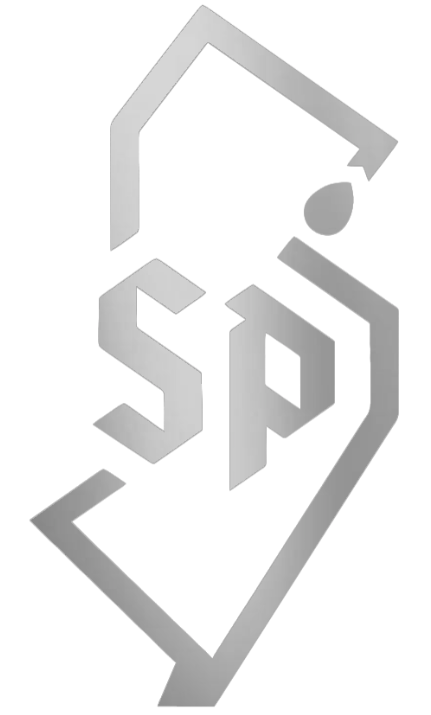 Saint Peters Peacocks SILVER CHROME MIRROR NJ State Logo Premium DieCut Vinyl Decal PICK SIZE