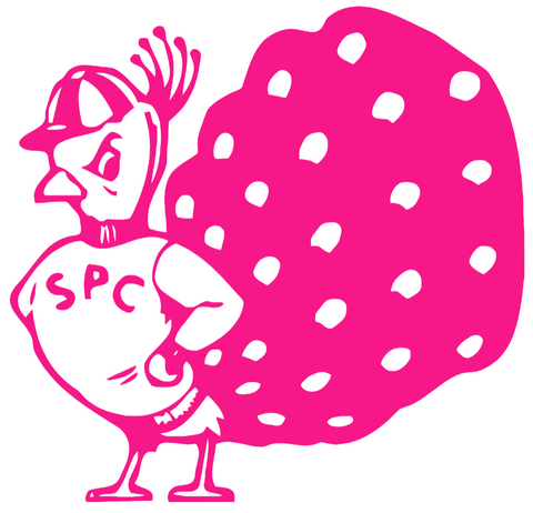 Saint Peters Peacocks Hot Pink Retro Throwback Logo Premium DieCut Vinyl Decal PICK SIZE