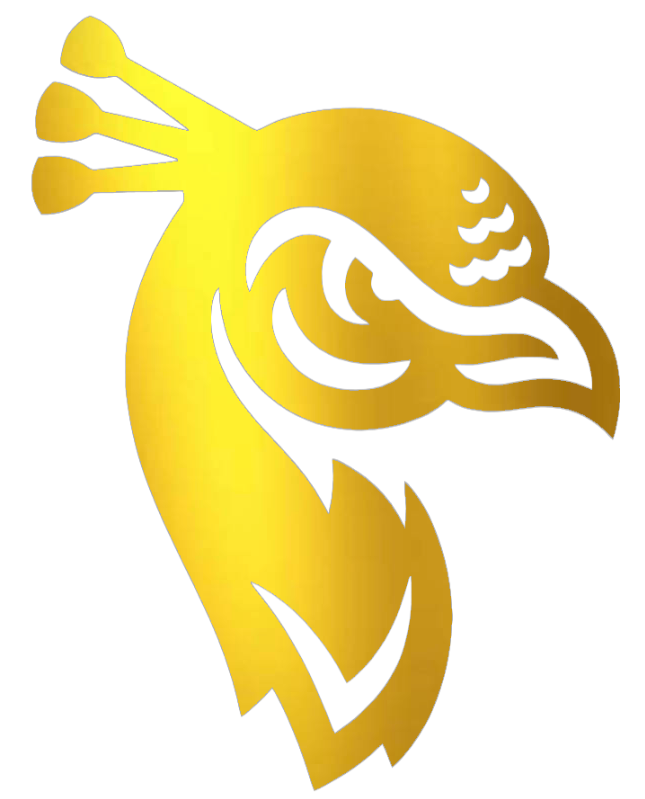 Saint Peters Peacocks GOLD CHROME MIRROR Team Logo Premium DieCut Vinyl Decal PICK SIZE