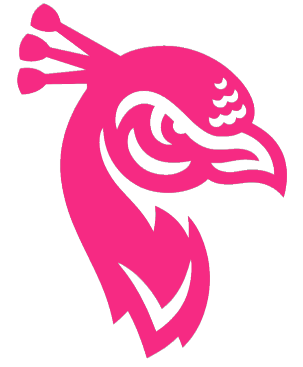 Saint Peters Peacocks HOT PINK Team Logo Premium DieCut Vinyl Decal PICK SIZE