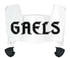 Saint Marys Gaels Mini Football Helmet Visor Shield w/ Clips - PICK VISOR & LOGO COLOR