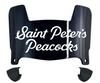 Saint Peters Peacocks Mini Football Helmet Visor Shield w/ Clips - PICK VISOR & LOGO COLOR